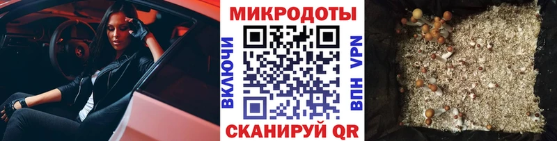 даркнет сайт  Динская  MEGA ONION  Галлюциногенные грибы Psilocybine cubensis 